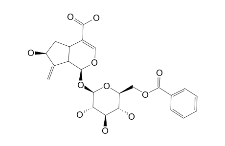 AQUATICOSIDE-C;6'-O-BENZOYL-GARDOSIDE