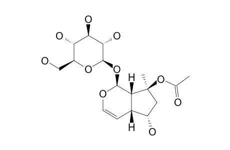 6-O-ACETYLMYOPOROSIDE