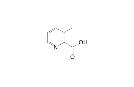 3-Methylpyridine-2-carboxylic acid