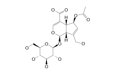 6-O-ACETYLSCANDOSIDE