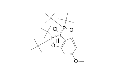 PARA-MEO-PCP-IR-HCL