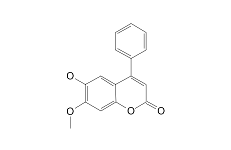 DALBERGIN