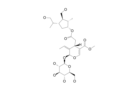 JASNUDIFLOSIDE-G