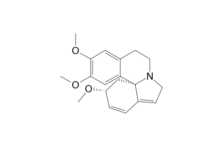 ERYSOTHRINE