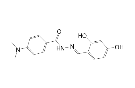 N'-[(E)-(2,4-dihydroxyphenyl)methylidene]-4-(dimethylamino)benzohydrazide