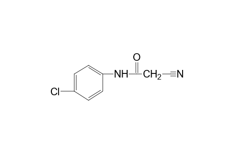 4'-Chloro-2-cyanoacetanilide