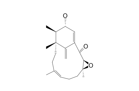 PHOMACTIN_B2