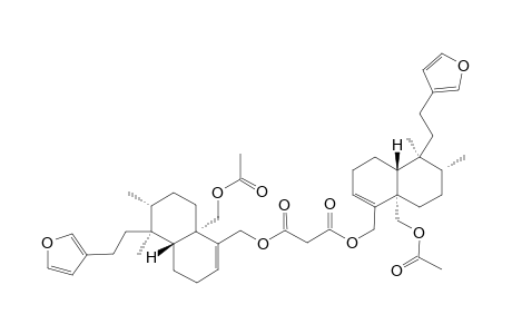 BACCHALEJIN-4