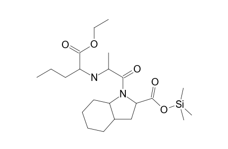 Perindopril TMS