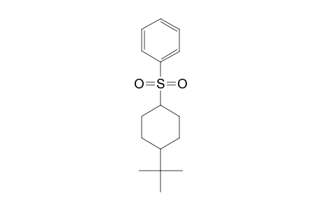 TRANS-4-TERT.-BUTYLCYCLOHEXYL-PHENYL-SULPHONE