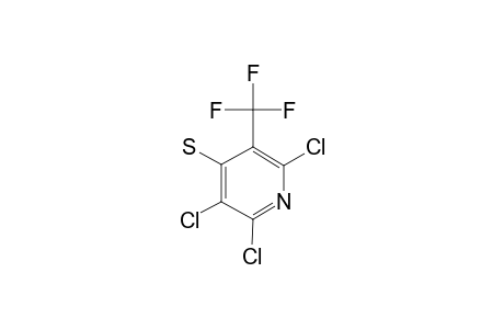 2,3,6-TRICHLORO-4-THIO-5-TRIFLUOROMETHYLPYRIDINE