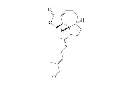 UBATUBAOLIDENAL