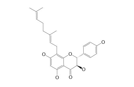 PUYANOL;(2-R,3-R)-2,3-DIHYDRO-3,5,7-TRIHYDROXY-2-(4-HYDROXYPHENYL)-8-(3,7-DIMETHYL-2,6-OCTADIENYL)-4H-1-BENZOPYRAN-4-ONE