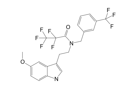 5MT-NB3CF3 PFP