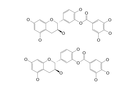 (+)-CATECHIN-3'-OR-4'-O-GALLATE