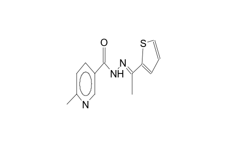 6-Methyl-N'-[(E)-1-(2-thienyl)ethylidene]nicotinohydrazide