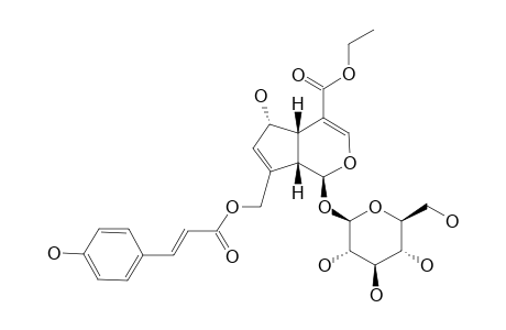 10-O-PARA-COUMAROYL-10-DEACETYL-11-DEMETHOXY-11-ETHOXY-DAPHYLLOSIDE