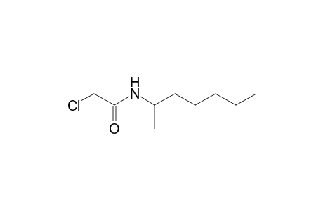 2-chloro-N-(1-methylhexyl)acetamide