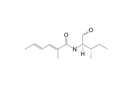 #3;(2E,4E)-2-METHYL-HEXA-2,4-DIENOIC-ACID-(2'R,3'S)-ISOLEUCINALDEHYDE;(2E,4E)-2-METHYL-HEXA-2,4-DIENOIC-ACID-[(1'R,2'S)-1-FORMYL-2-METHYL-BUTYL]-AMIDE;MAJOR-IS