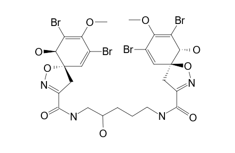 CAISSARINE-C