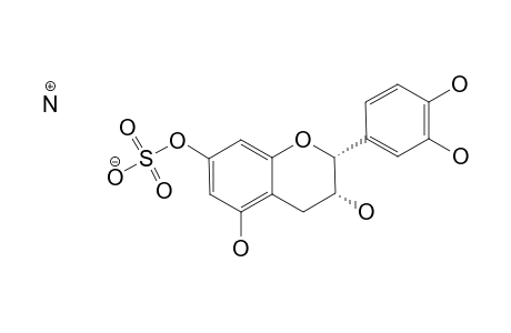 EPICATECHIN-7-SULFATE_AMMONIUM_SALT