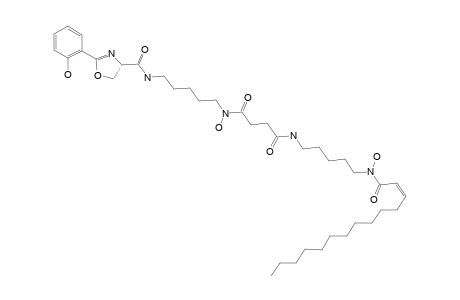 NORCARDICHELIN_B