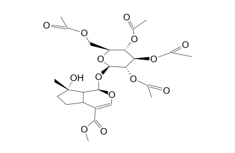 8-EPI MUSSAENOSIDE TETRAACETATE