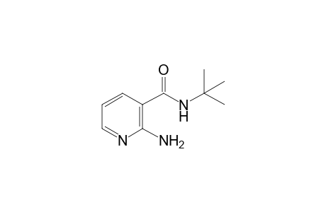 t-Butyl 2-Aminonicotinamide