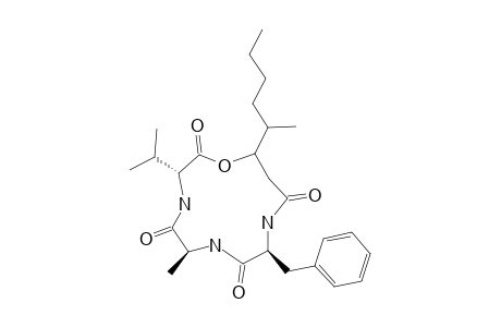 BEAUVERIOLIDE-VII