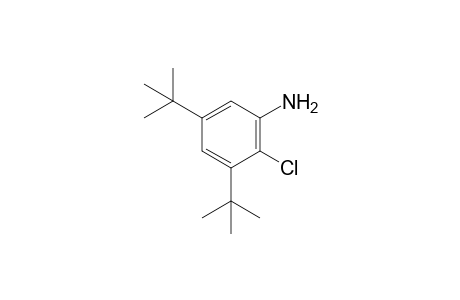 2-CHLORO-3,5-DI-tert-BUTYLANILINE