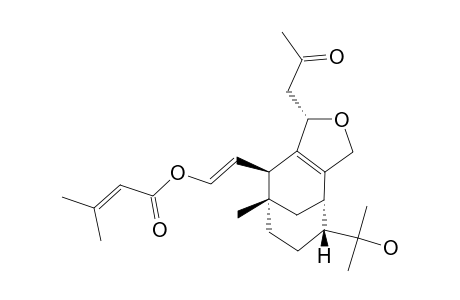 NEOVIBSANIN_F