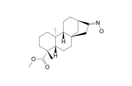 METHYL-ENT-16E-OXIME-17-NORKAURAN-19-OATE