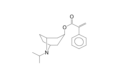 IPRATROPIUM-ARTIFACT 2