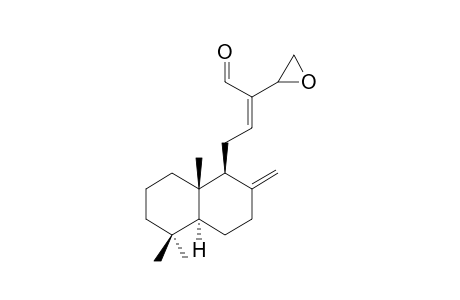 14-XI,15-EPOXY-LABDA-8(17),12-DIEN-16-AL-[E]