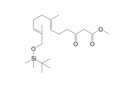 (6E,10E)-METHYL-12-[(TERT.-BUTYL)-DIMETHYLSILYLOXY]-7,11-DIMETHYL-3-OXODODECA-6,10-DIENOATE