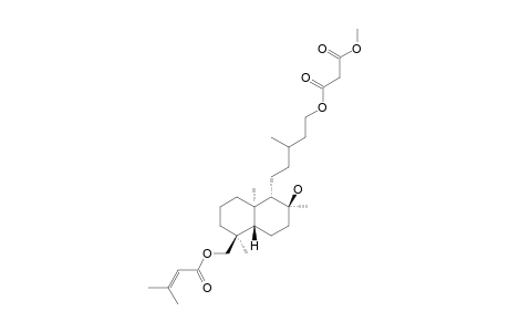 8-BETA-HYDROXY-15-MALONYLOXY-18-SENECIOYLOXY-ENT-LABDANE-METHYLESTER