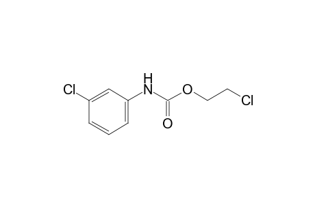 m-chlorocarbanilic acid, 2-chloroethyl ester