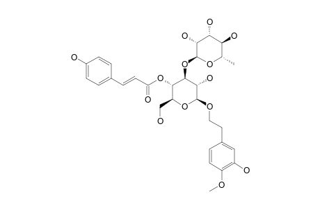 1-O-(3-HYDROXY-4-METHOXYPHENETHYL)-4-O-(PARA-HYDROXY-COUMAROYL)-3-O-ALPHA-L-RHAMNOPYRANOSYL-BETA-D-GLUCOPYRANOSIDE