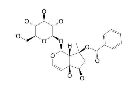 CAPRARIOSIDE;8-O-BENZOYLHARPAGIDE