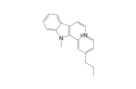 N12-METHYL-NUKUHIVENSIUM