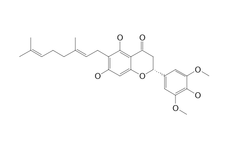 3'-O-METHYL-5'-O-METHYLDIPLACONE