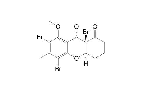 5,7,9A-TRIBROMO-9-HYDROXY-8-METHOXY-6-METHYL-2,3,4,4A,9,9A-HEXAHYDRO-XANTHEN-1-ONE