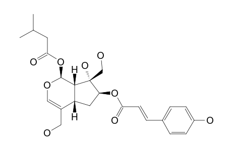 LUZONOID-A