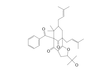 OCHROCARPINONE-C