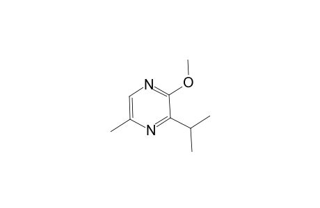 2-Methoxy-5-methyl-3-propan-2-yl-pyrazine