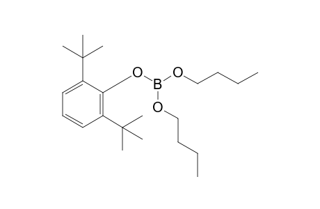 boric acid, dibutyl(2,6-di-tert-butyl)phenyl ester