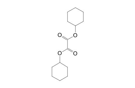 Oxalic acid, dicyclohexyl ester