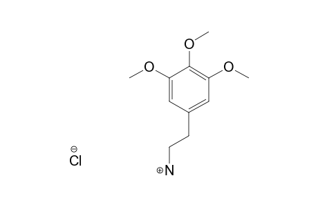 MESCALINE_HYDROCHLORIDE