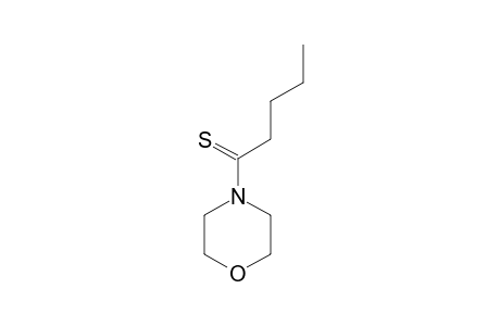 4-(PENTANETHIOYL)-MORPHOLINE