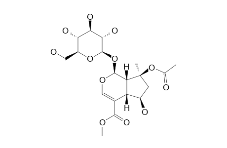 BARLERIN;8-O-ACETYLSHANZHISIDE-METHYLESTER